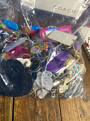 Mixed lot keychains - keychains, rings